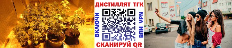 ТГК Wax  где купить наркоту  KRAKEN как войти  Луховицы 